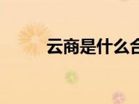 云商是什么合法吗（云商是什么）