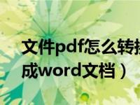 文件pdf怎么转换成word（怎么把pdf转换成word文档）