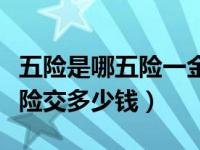 五险是哪五险一金一般交多少钱（五险是哪五险交多少钱）