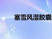 塞雪风湿胶囊的功效与作用（塞穴）
