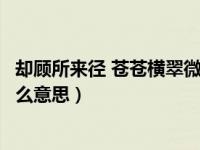 却顾所来径 苍苍横翠微什么意思（却顾所来径苍苍横翠微什么意思）