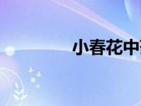 小春花中药别名（小春花）