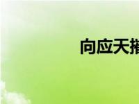 向应天摧心掌（向应天）