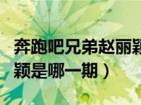 奔跑吧兄弟赵丽颖是第几期（奔跑吧兄弟赵丽颖是哪一期）