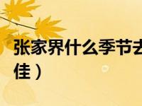 张家界什么季节去最美（张家界什么季节去最佳）