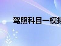 驾照科目一模拟考试（科目二考什么）