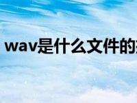wav是什么文件的扩展名（wav是什么文件）