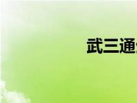 武三通生平（武三通）