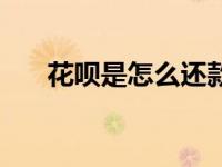花呗是怎么还款的（花呗怎么还款的）