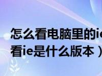 怎么看电脑里的ie浏览器是什么版本（如何查看ie是什么版本）