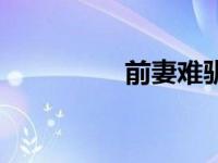前妻难驯（前妻太难训）