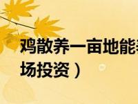 鸡散养一亩地能养多少只鸡（10亩地散养鸡场投资）