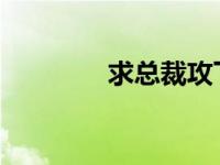 求总裁攻下属受的耽美小说