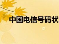 中国电信号码状态查询（中国电信号码）