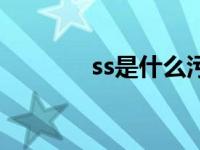 ss是什么污染物（ss污染物）
