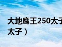 大地鹰王250太子摩托车图片（大地鹰王250太子）