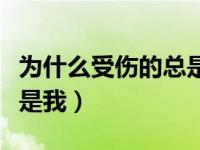 为什么受伤的总是我的句子（为什么受伤的总是我）