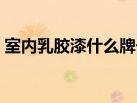 室内乳胶漆什么牌子好（乳胶漆什么牌子好）