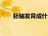 胚轴发育成什么（胚芽发育成什么）