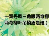 一双丹凤三角眼两弯柳叶吊梢眉说的是谁（一双丹凤三角眼两弯柳叶吊梢眉是谁）
