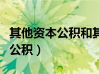 其他资本公积和其他综合收益区别（其他资本公积）