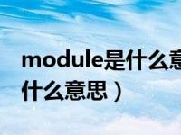 module是什么意思翻译成中文（module是什么意思）