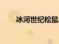 冰河世纪松鼠叫啥（冰河世纪松鼠）