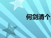 何剑清个人简历（何剑清）