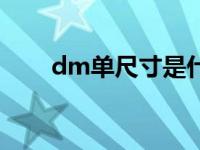 dm单尺寸是什么意思（dm单尺寸）