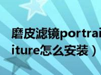 磨皮滤镜portraiture下载（磨皮滤镜portraiture怎么安装）