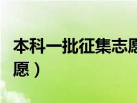 本科一批征集志愿学校名单（本科一批征集志愿）