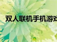 双人联机手机游戏（可以联机的单机游戏）