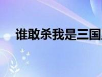 谁敢杀我是三国里谁的名言（谁敢杀我）