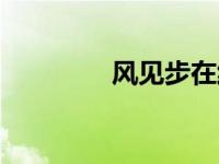 风见步在线观看（风见步）