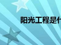 阳光工程是什么意思（阳光工程）