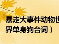 暴走大事件动物世界网猴（暴走大事件动物世界单身狗台词）