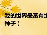 我的世界最富有地图种子（我的世界最富地图种子）