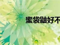 蜜袋鼬好不好养活?（蜜袋鼬）