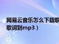 网易云音乐怎么下载歌词到u盘上面（网易云音乐怎么下载歌词到mp3）