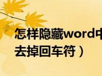 怎样隐藏word中的回车符（word如何隐藏去掉回车符）