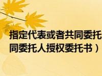 指定代表或者共同委托人授权委托书范文（指定代表或者共同委托人授权委托书）