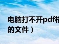 电脑打不开pdf格式（电脑怎么打开pdf格式的文件）