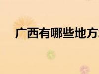 广西有哪些地方城市（广西省有哪些市）
