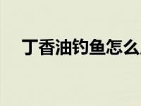 丁香油钓鱼怎么用法（丁香油钓鱼效果）