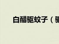 白醋驱蚊子（驱蚊子最有效的方法醋）
