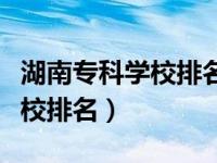 湖南专科学校排名及分数线公办（湖南专科学校排名）