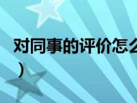 对同事的评价怎么写好（对同事的评价怎么写）