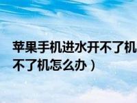 苹果手机进水开不了机怎么办一直黑屏（苹果手机进水了开不了机怎么办）