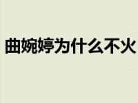 曲婉婷为什么不火（曲婉婷为什么被叫曲婊）