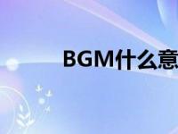BGM什么意思（bgm什么意思）